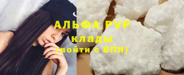 СК Беломорск