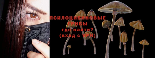 прущая мука Белокуриха