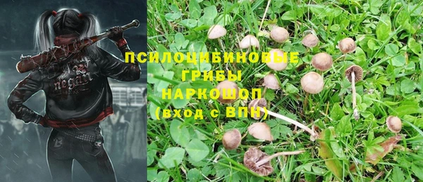 трава Белоозёрский